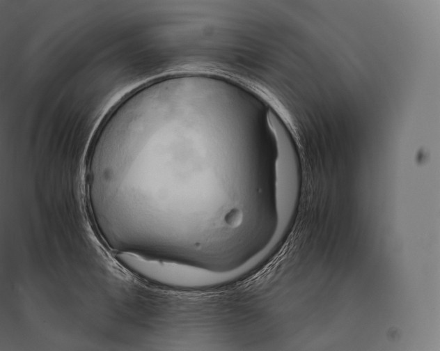 X0000094370996200711241956