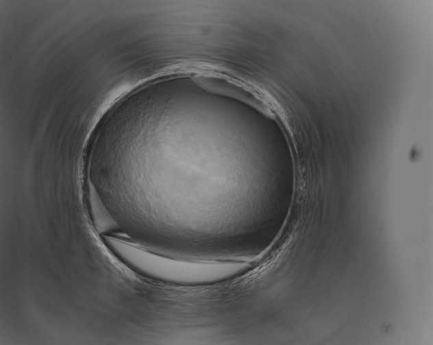 X0000094370997200711241956