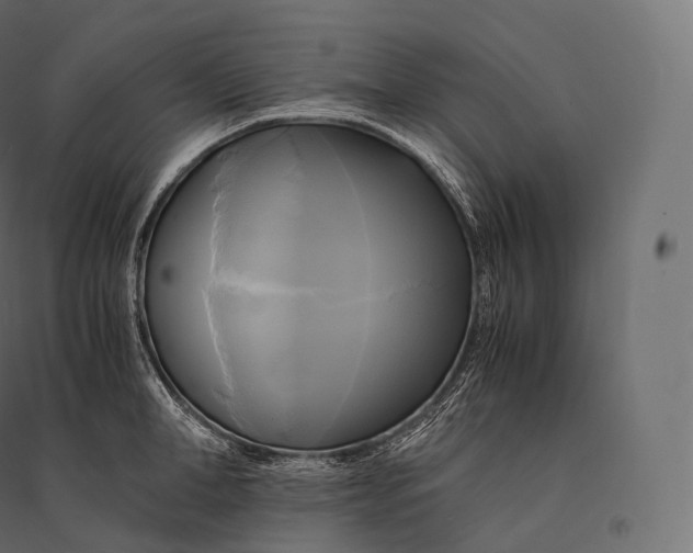 X0000094370998200711241956