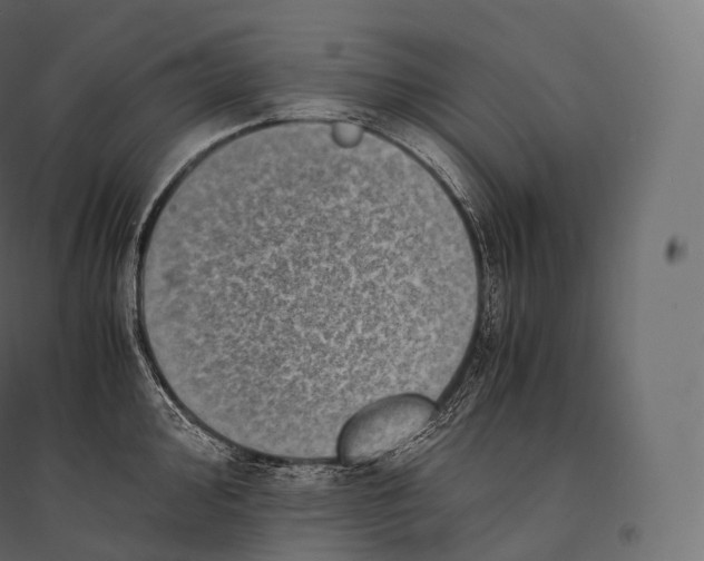 X0000094371000200711241956