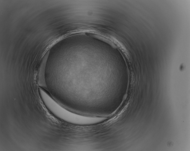 X0000094371001200711241956