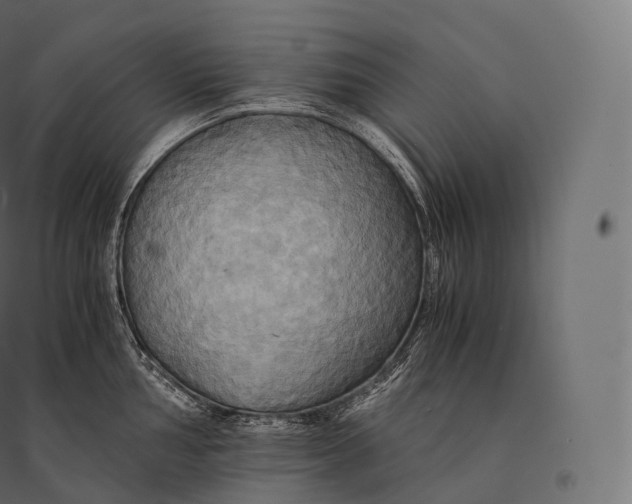 X0000094371002200711241955