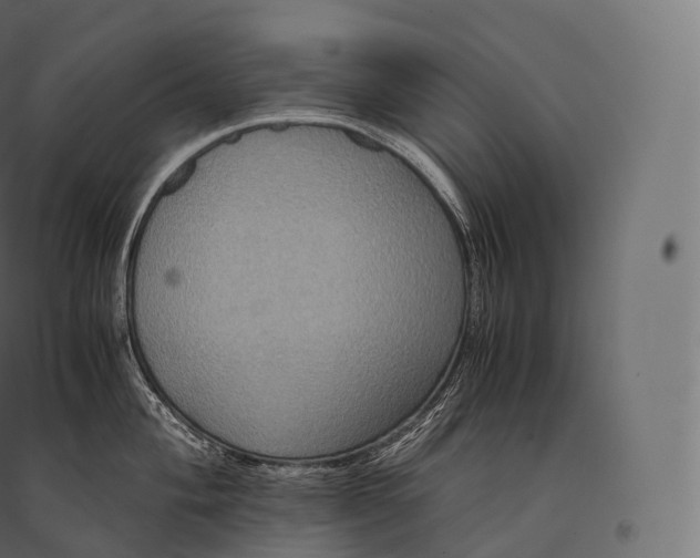 X0000094371004200711241955