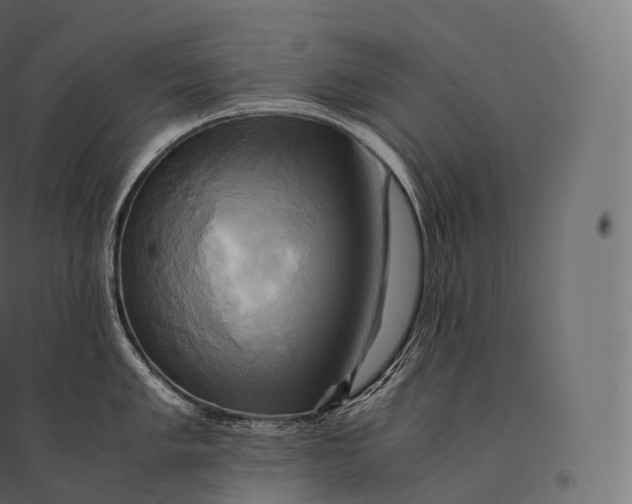 X0000094371005200711241955