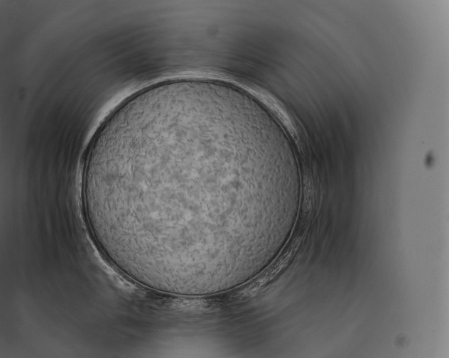 X0000094371006200711241955