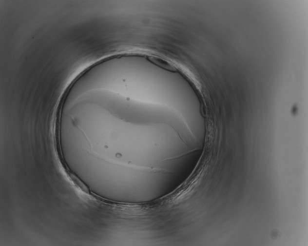 X0000094371007200711241955