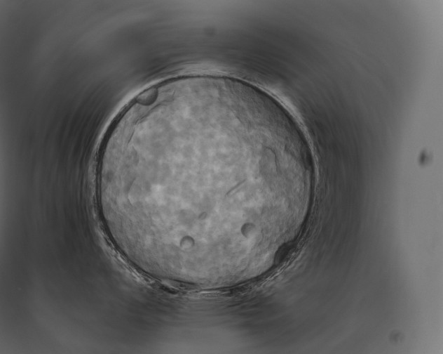 X0000094371008200711241955