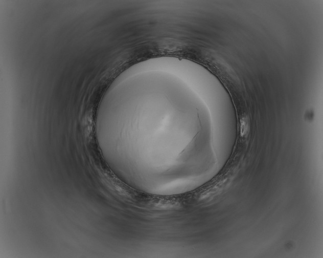 X0000094371011200711241955