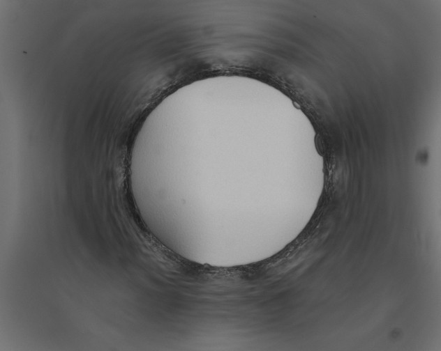 X0000094371012200711241955