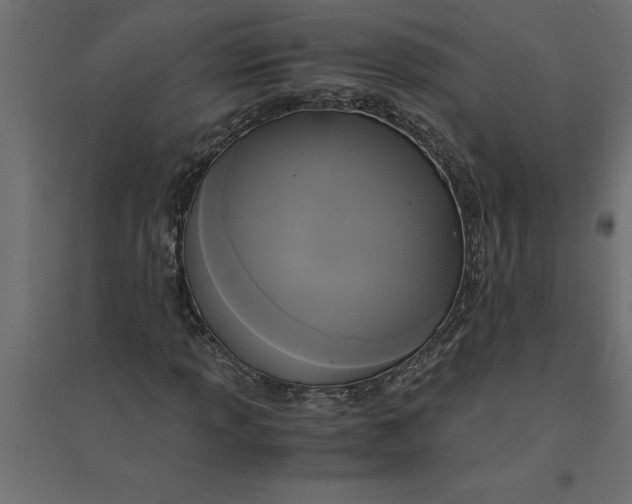 X0000094371013200711241955