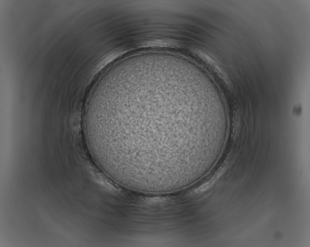 X0000094371017200711241955