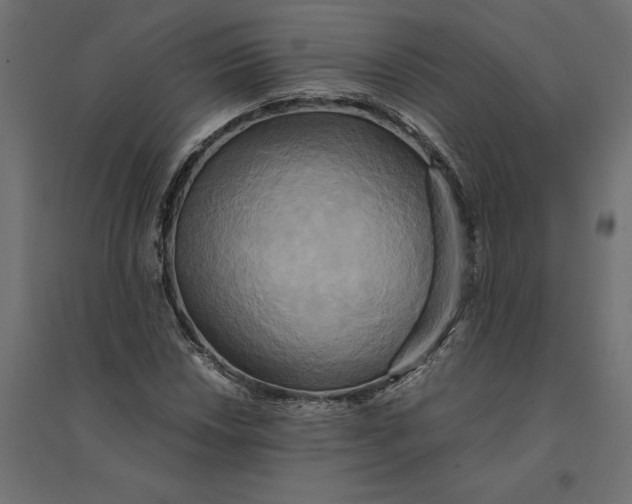 X0000094371018200711241955