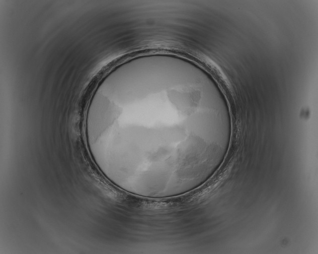 X0000094371019200711241955