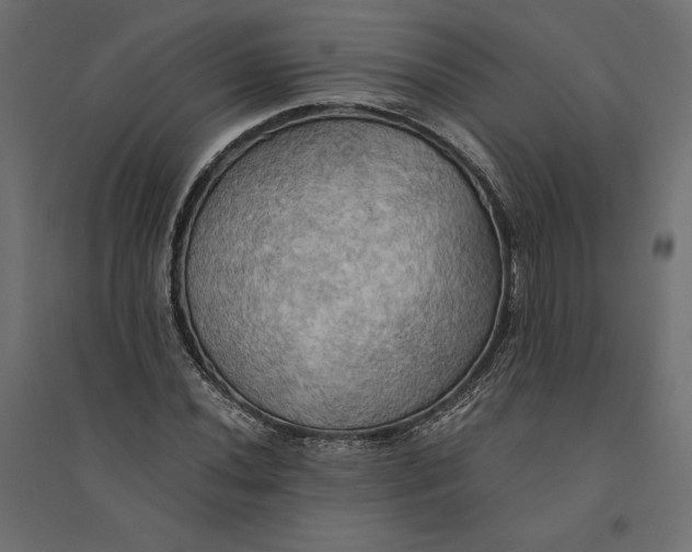 X0000094371020200711241955