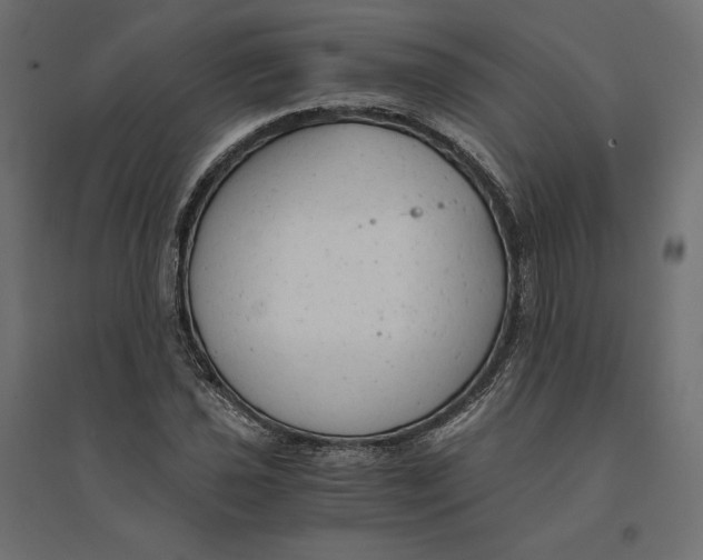 X0000094371021200711241955