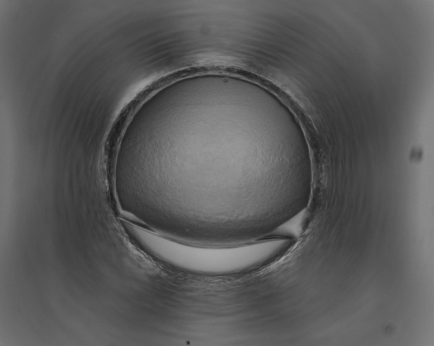 X0000094371022200711241955