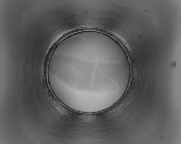 X0000094371023200711241955