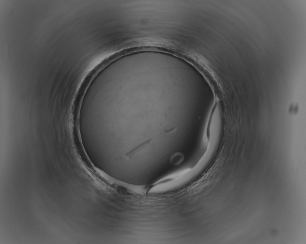 X0000094371024200711241955