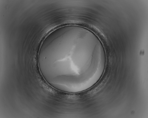 X0000094371025200711241955