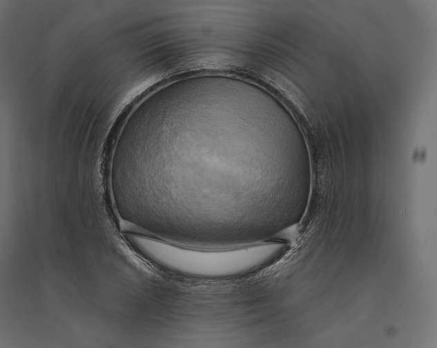 X0000094371026200711241955