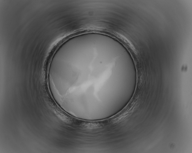 X0000094371027200711241955