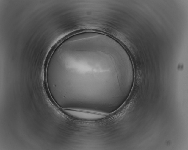 X0000094371028200711241955