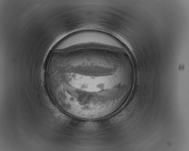 X0000094371029200711241955