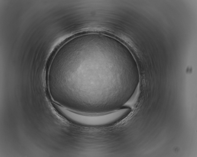 X0000094371030200711241955