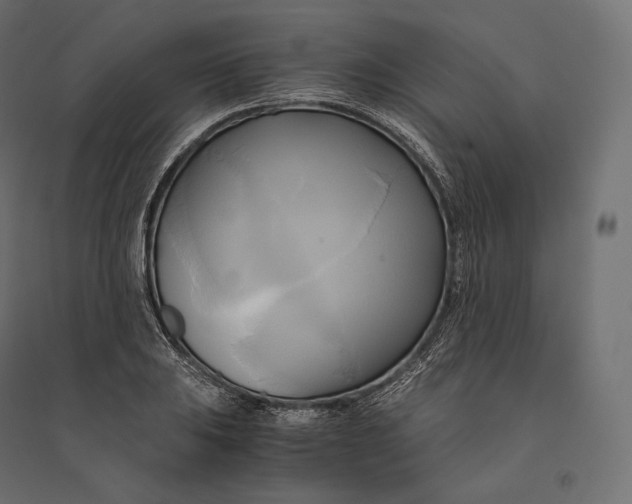 X0000094371031200711241955