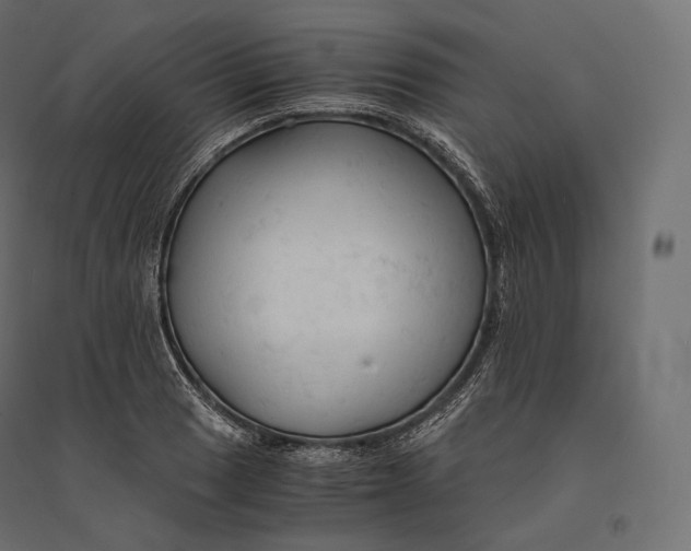 X0000094371033200711241955