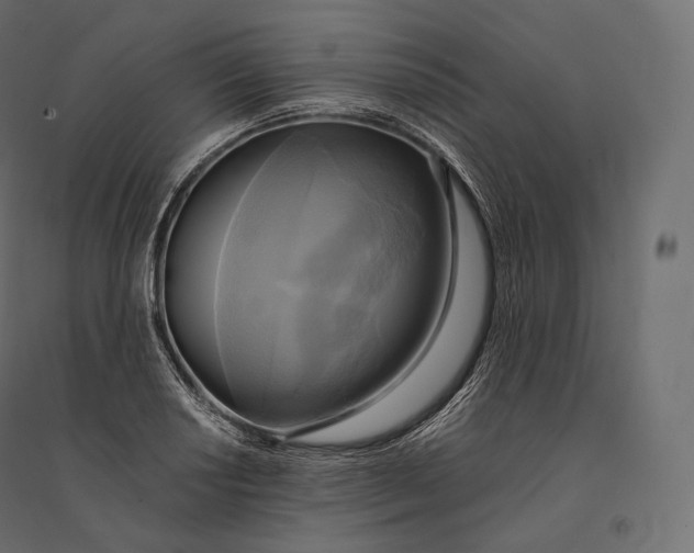 X0000094371034200711241955