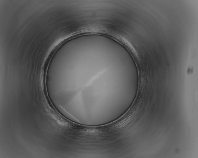 X0000094371035200711241955