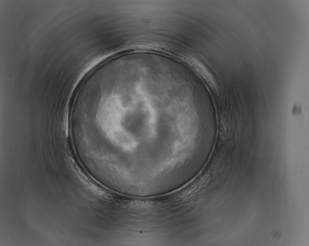 X0000094371036200711241955