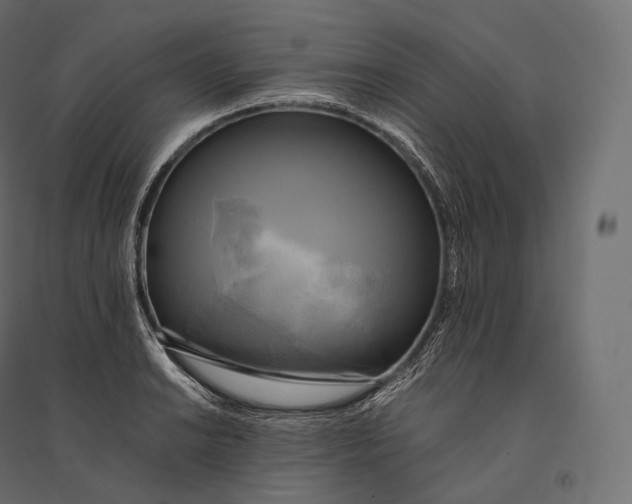 X0000094371038200711241955