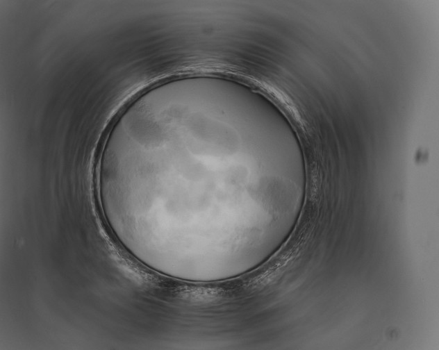 X0000094371039200711241955