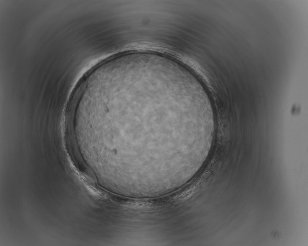 X0000094371040200711241955