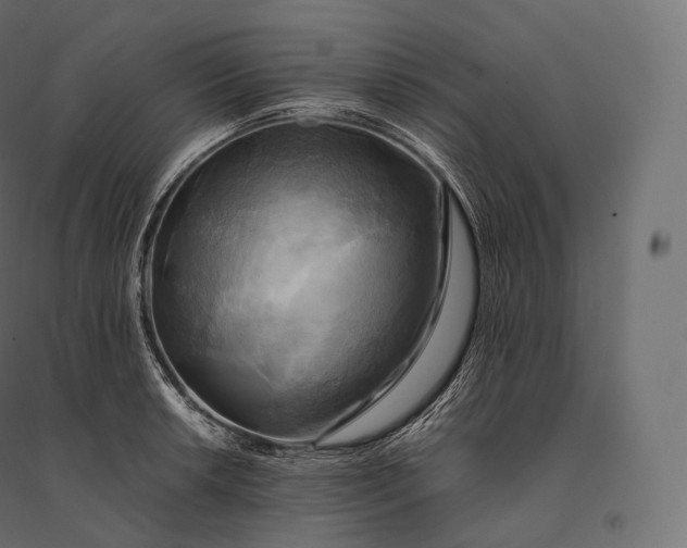 X0000094371042200711241955