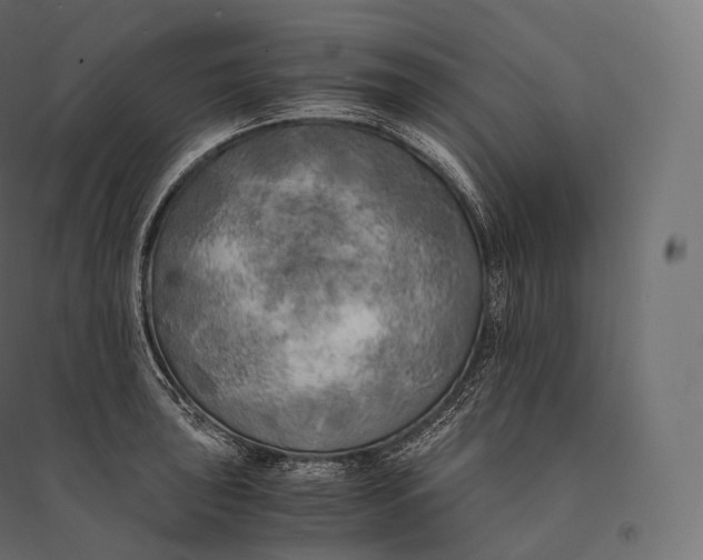 X0000094371043200711241955