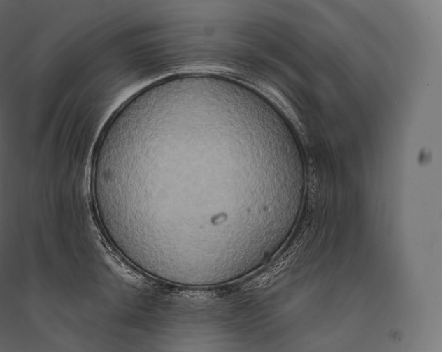 X0000094371044200711241955