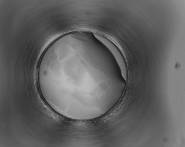 X0000094371048200711241955