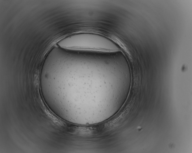 X0000094371049200711241955