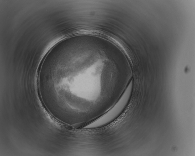 X0000094371050200711241955