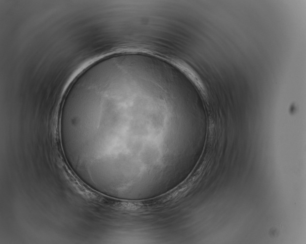 X0000094371052200711241955