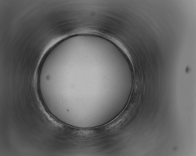 X0000094371053200711241955