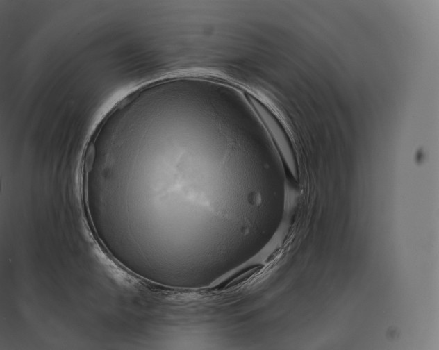 X0000094371054200711241955