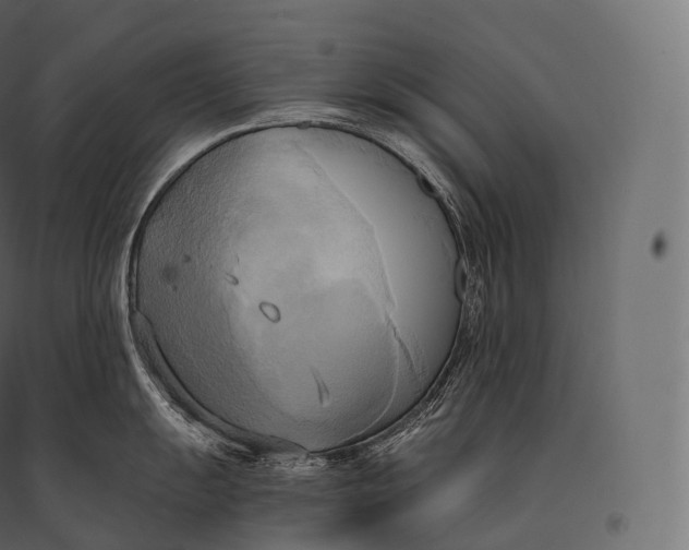 X0000094371055200711241955