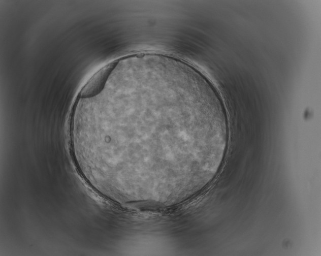 X0000094371056200711241955