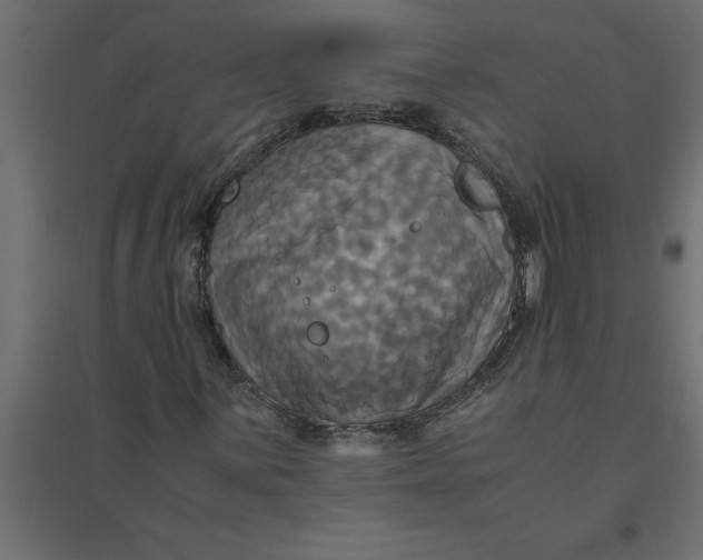 X0000094371059200711241955