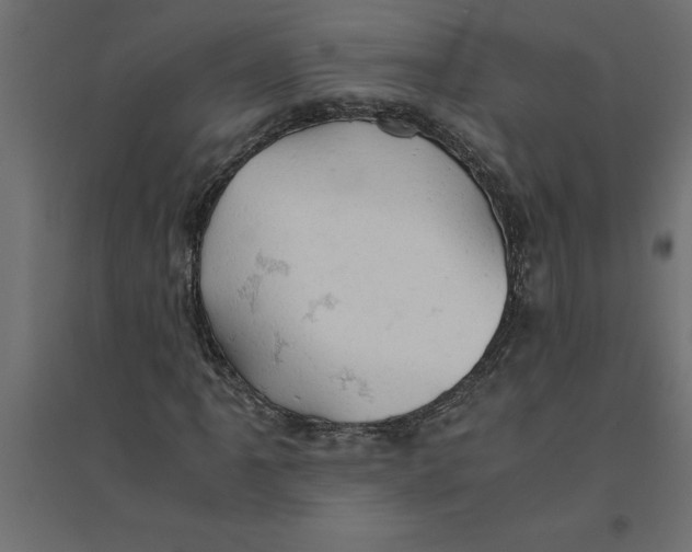 X0000094371061200711241955