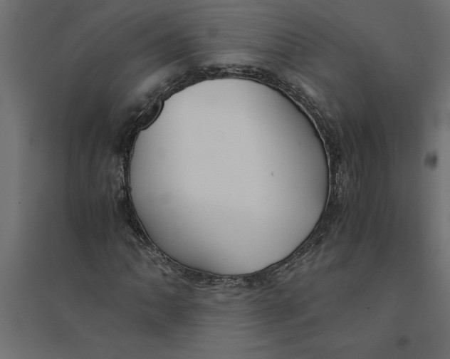 X0000094371062200711241955